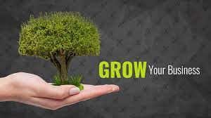 4 Easy Steps to Grow Your Business Online