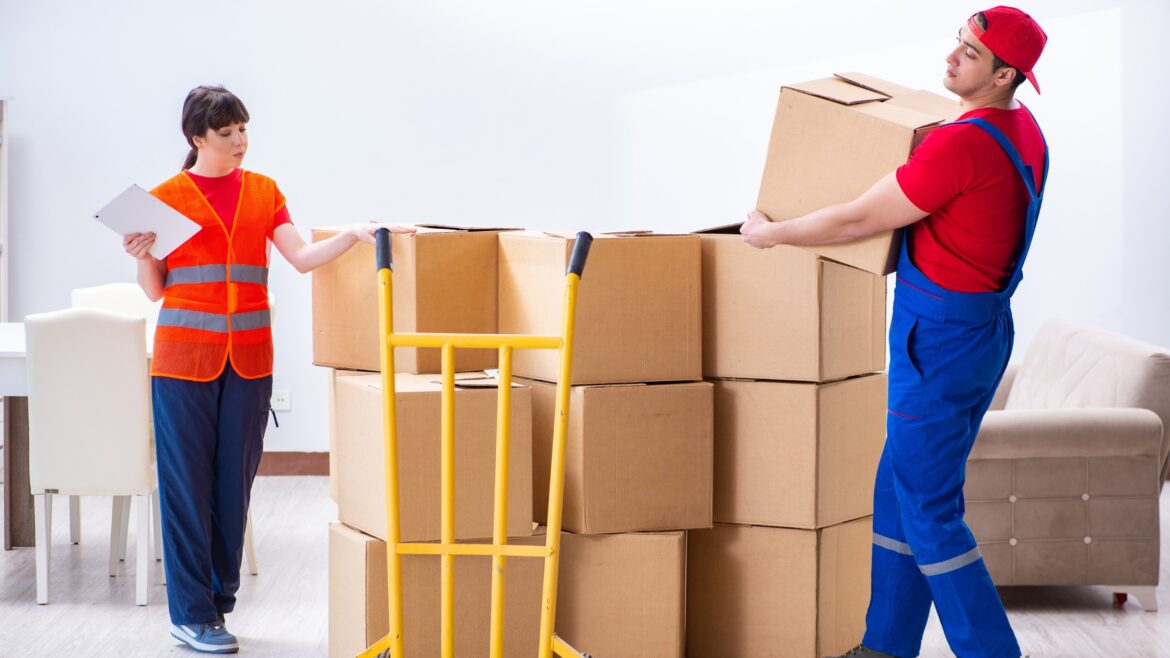 How to choose the right removals company for your move