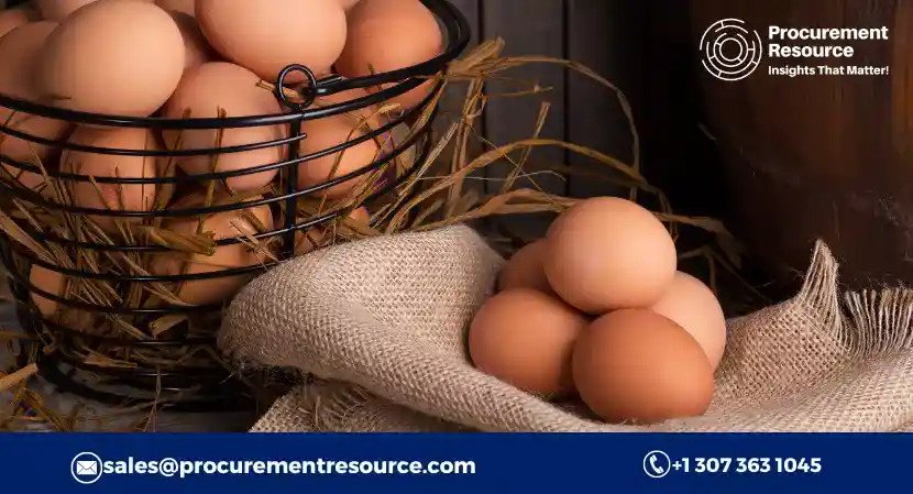 Eggs Production Cost Analysis Report: Manufacturing Process, Raw Materials Requirements, Variable Cost, Production Cost Summary and Key Process Information